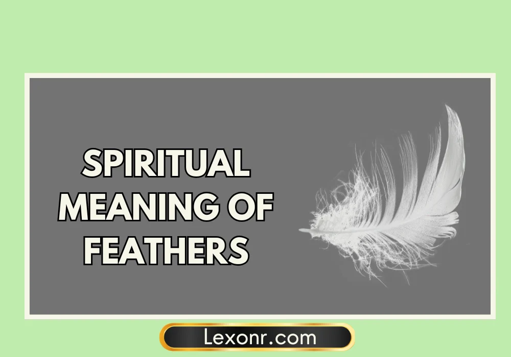 Spiritual Meaning of Feathers