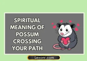 Spiritual Meaning Of Possum Crossing Your Path