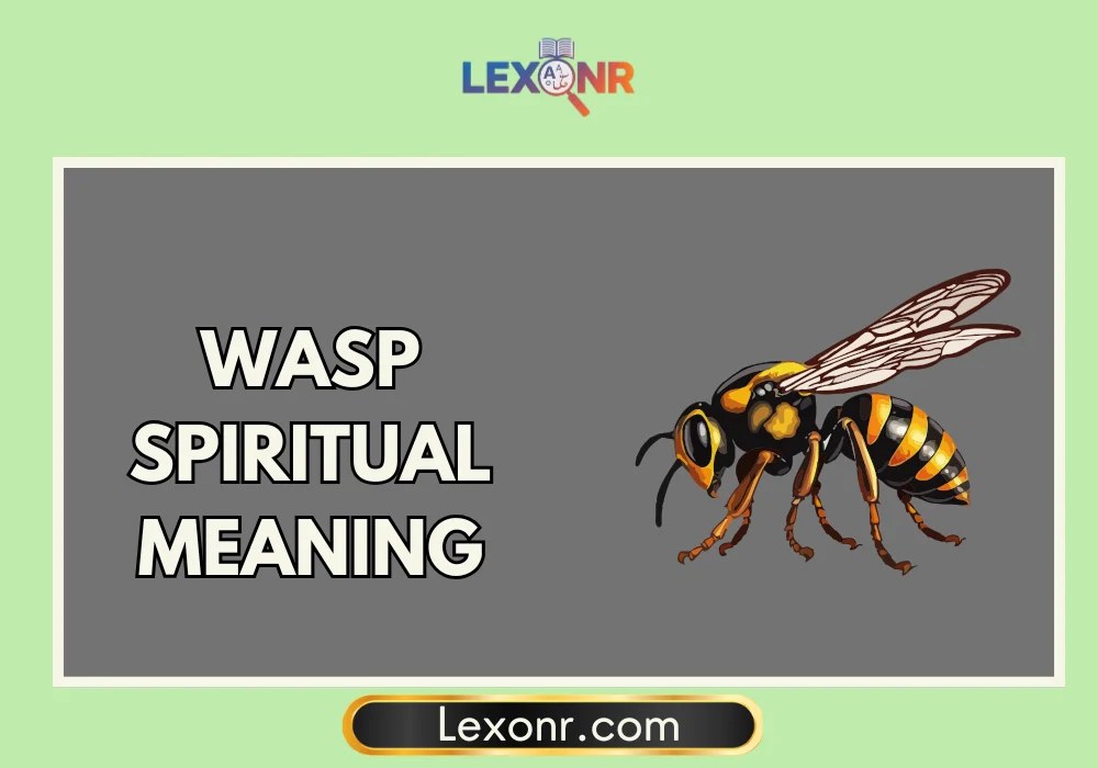 Wasp Spiritual Meaning