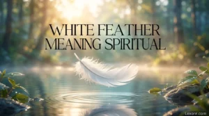 White Feather Meaning Spiritual