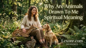 why are animals drawn to me spiritual meaning