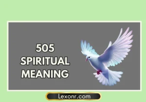 505 Spiritual Meaning