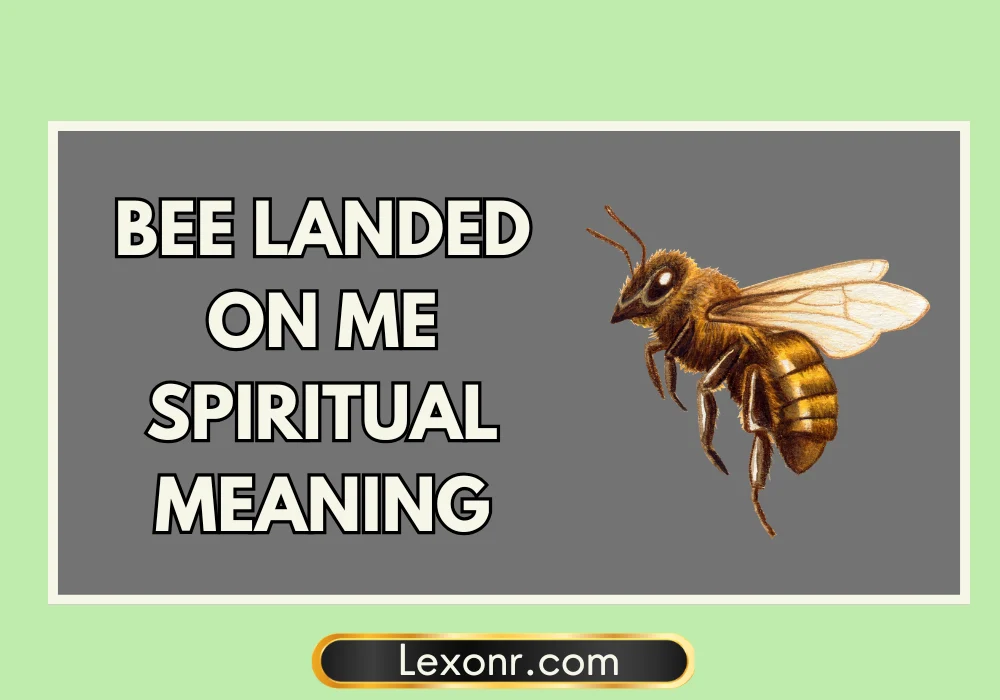 Bee Landed On Me Spiritual Meaning