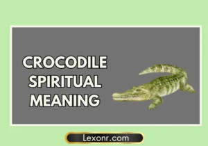 Crocodile Spiritual Meaning