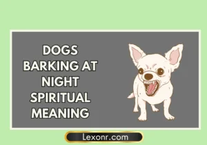 Dogs Barking At Night Spiritual Meaning