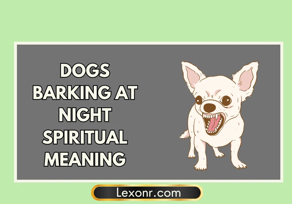 Dogs Barking At Night Spiritual Meaning