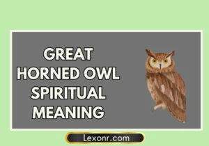 Great Horned Owl Spiritual Meaning