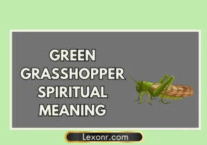 Green Grasshopper Spiritual Meaning