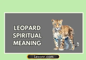 Leopard Spiritual Meaning