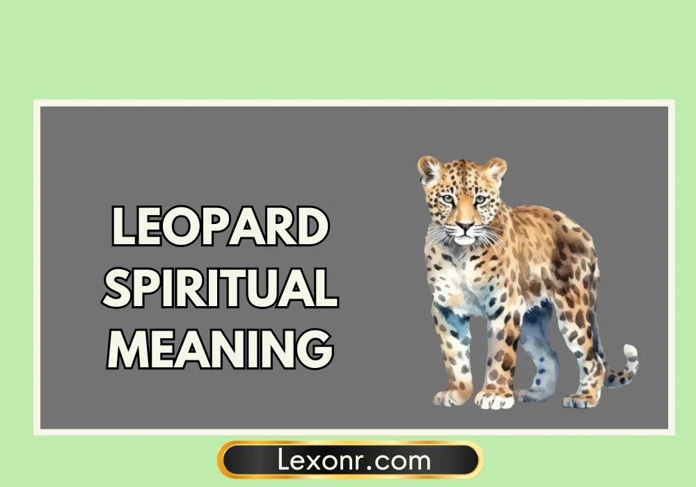 Leopard Spiritual Meaning