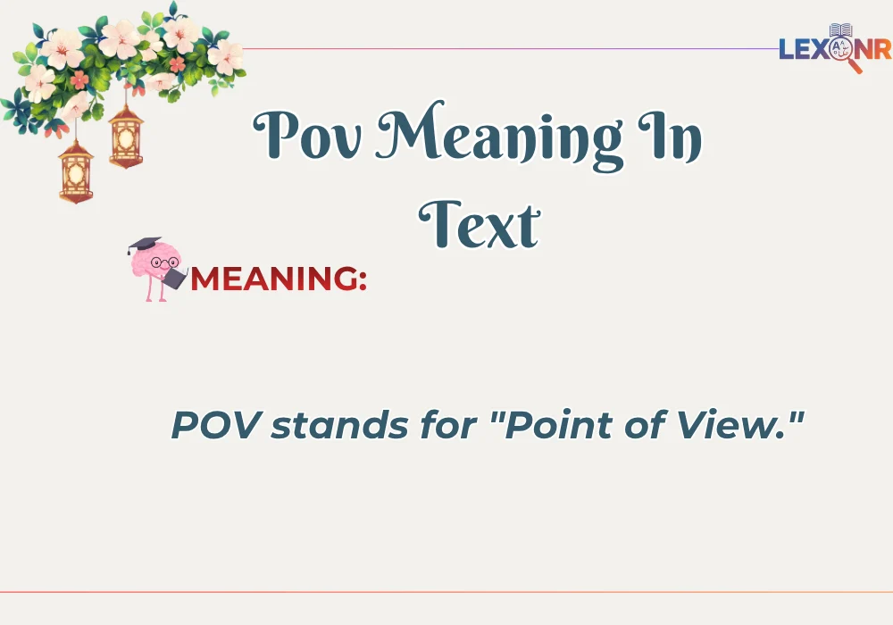 Pov Meaning In Text