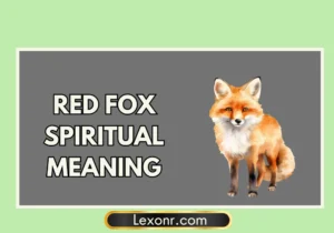Red Fox Spiritual Meaning