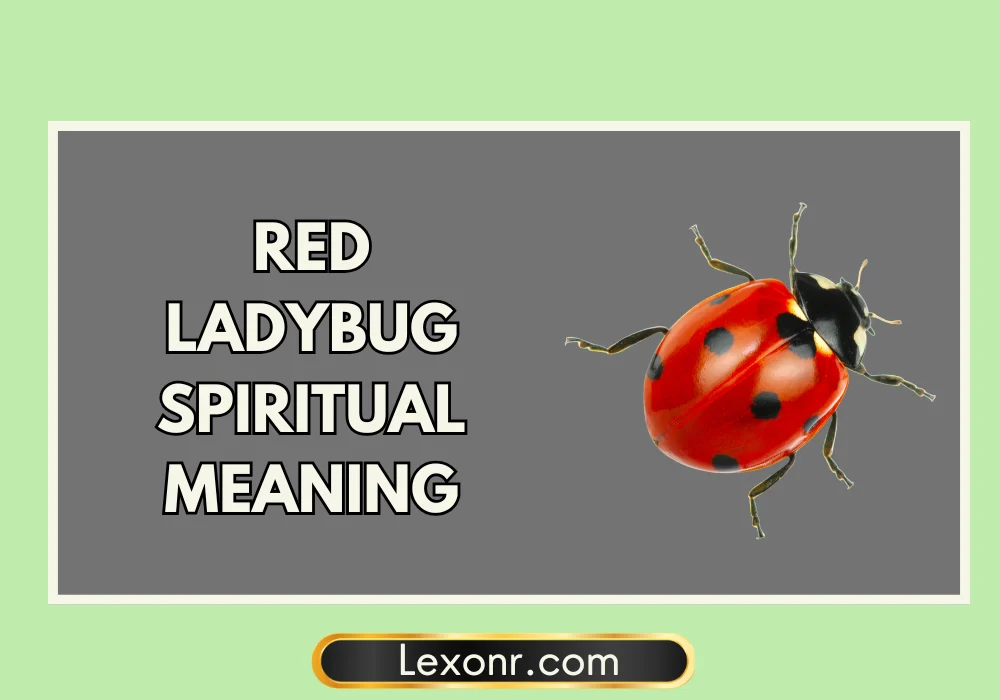 Red Ladybug Spiritual Meaning