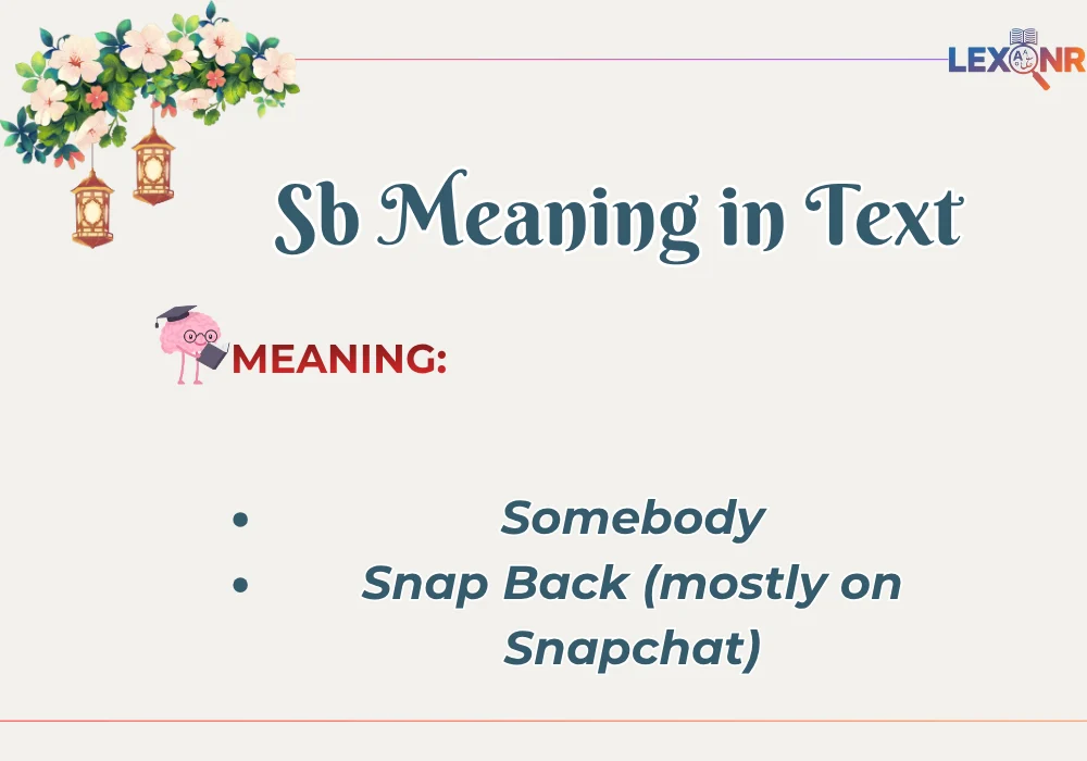 Sb Meaning in Text