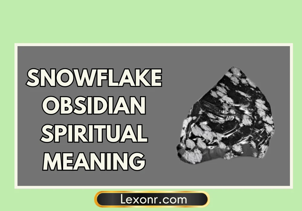 Snowflake Obsidian Spiritual Meaning