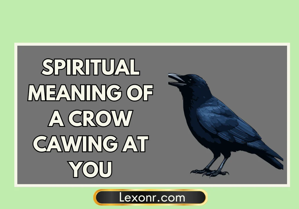 Spiritual Meaning Of A Crow Cawing At You