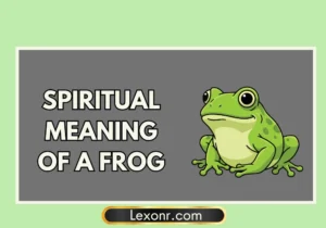 Spiritual Meaning Of A Frog