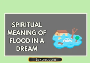 penguin-spiritual-meaning