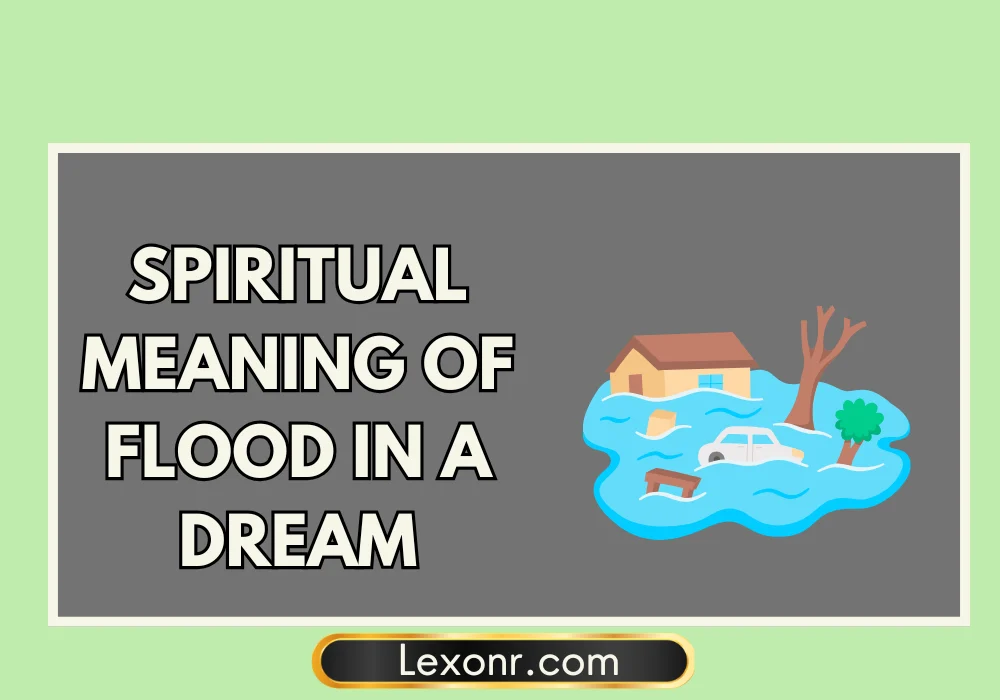 penguin-spiritual-meaning