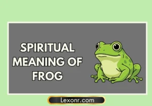 Spiritual Meaning Of Frog