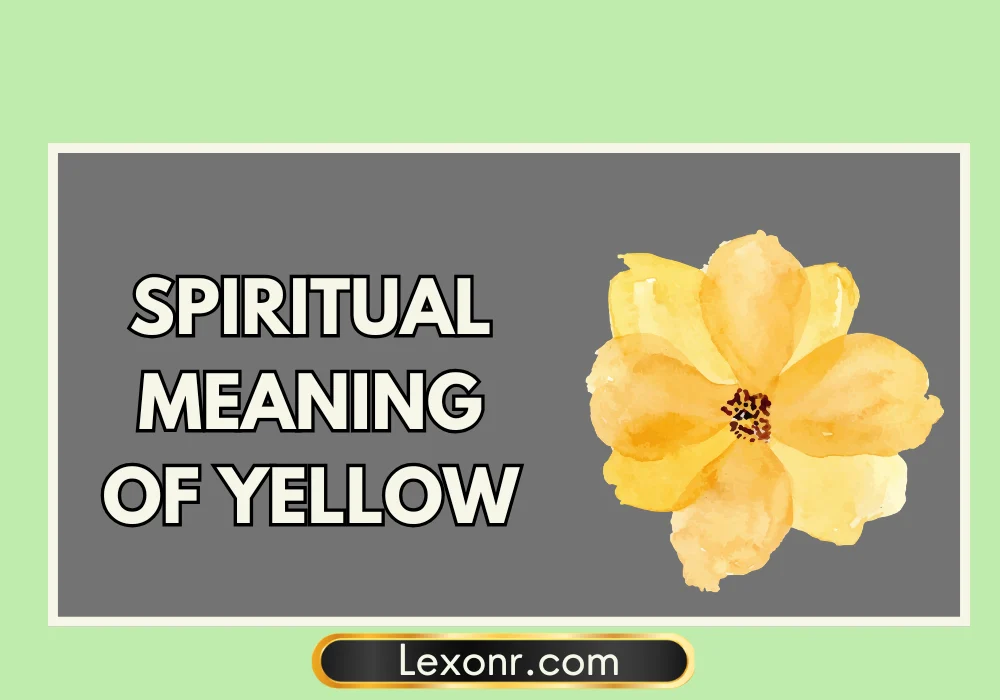 Spiritual Meaning Of Yellow