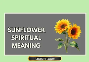 Sunflower Spiritual Meaning