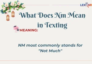 What Does Nm Mean in Texting
