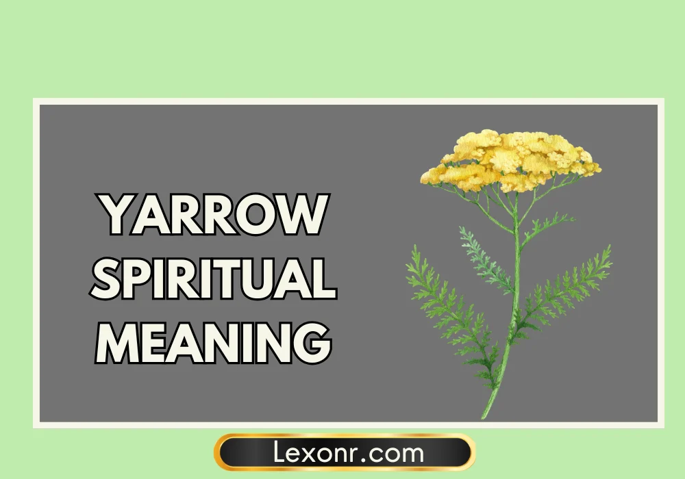 Yarrow Spiritual Meaning